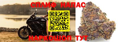 хмурый Бузулук