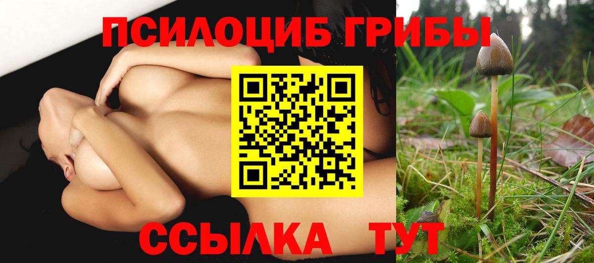 сколько стоит  Вход с VPN  Дюртюли  Псилоцибиновые грибы MAGIC MUSHROOMS 